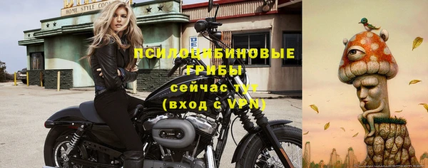 Альфа ПВП Снежинск