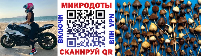Галлюциногенные грибы GOLDEN TEACHER  kraken ONION  Старица 